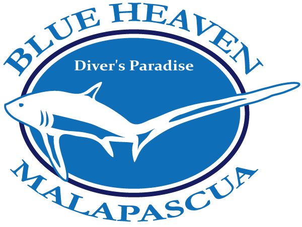 blue heaven logo